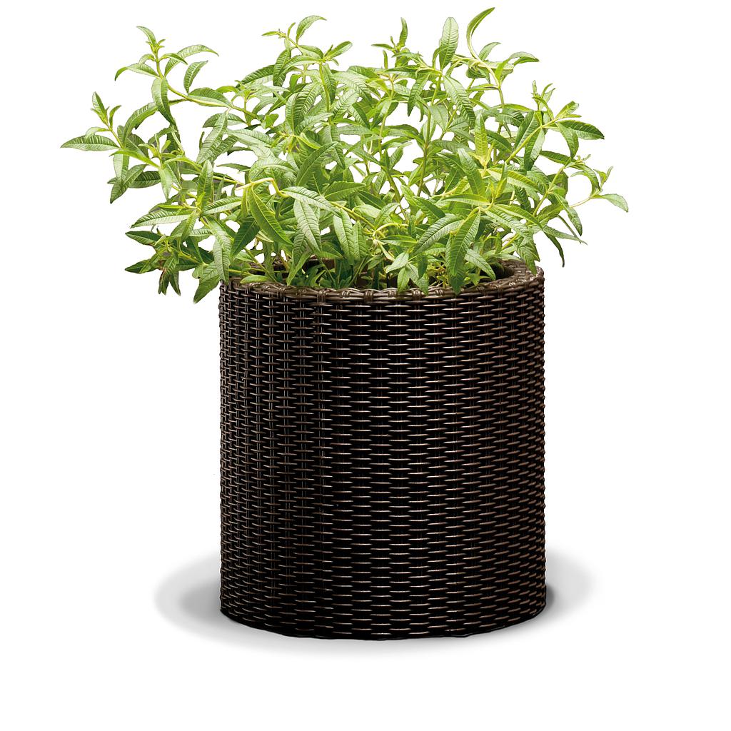 MACETA PEQUEÑA RATTAN REDONDA